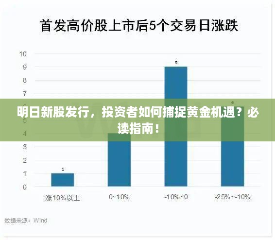 明日新股发行，投资者如何捕捉黄金机遇？必读指南！