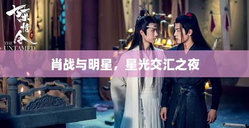 肖战与明星，星光交汇之夜