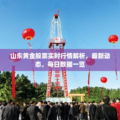 山东黄金股票实时行情解析，最新动态，每日数据一览