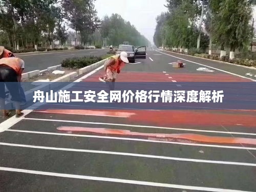 舟山施工安全网价格行情深度解析