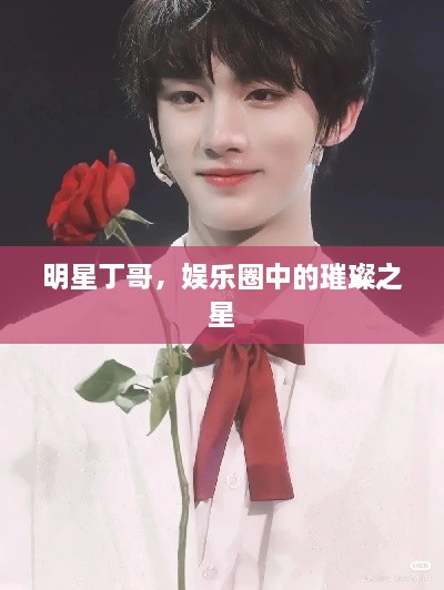明星丁哥，娱乐圈中的璀璨之星