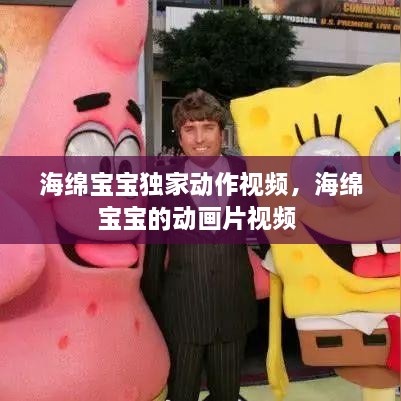 海绵宝宝独家动作视频，海绵宝宝的动画片视频 