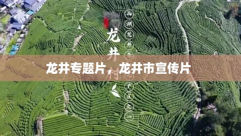 龙井专题片，龙井市宣传片 