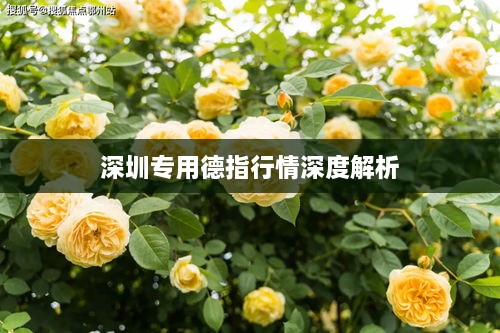 深圳专用德指行情深度解析