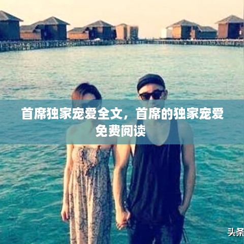 穷鸟入怀 第2页