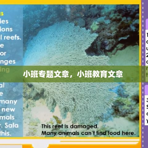 小班专题文章，小班教育文章 