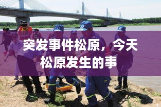 草率从事 第2页