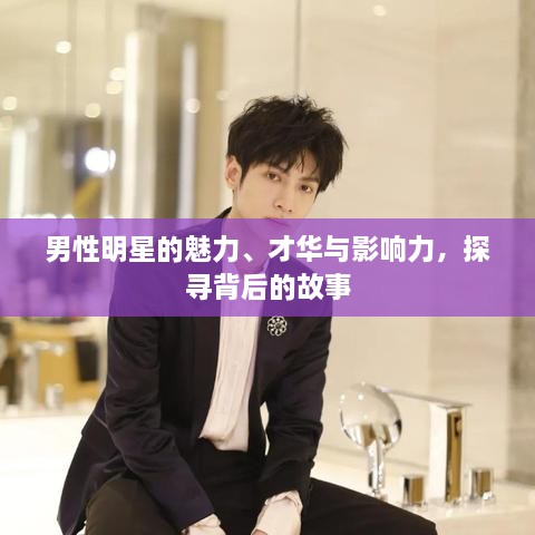 男性明星的魅力、才华与影响力，探寻背后的故事