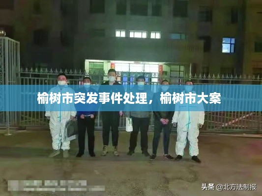 飞扬拨扈 第3页