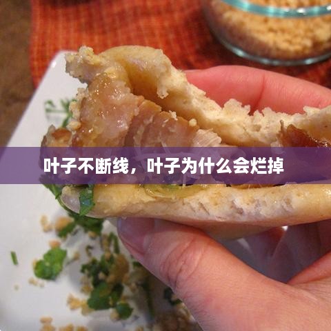 叶子不断线，叶子为什么会烂掉 