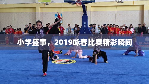 小学盛事，2019咏春比赛精彩瞬间