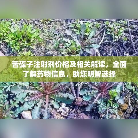 苦碟子注射剂价格及相关解读，全面了解药物信息，助您明智选择