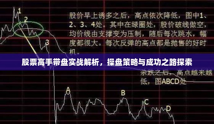股票高手带盘实战解析，操盘策略与成功之路探索