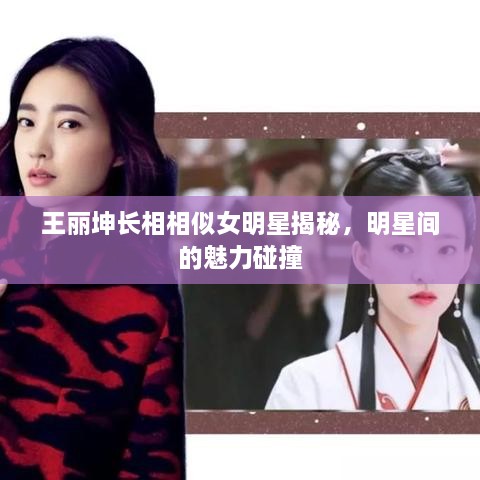 王丽坤长相相似女明星揭秘，明星间的魅力碰撞
