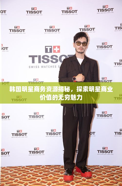 韩国明星商务资源揭秘，探索明星商业价值的无穷魅力