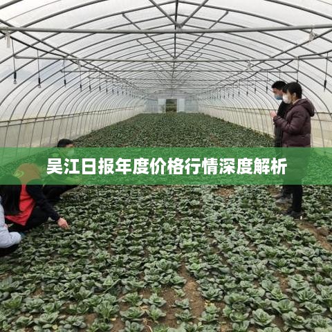吴江日报年度价格行情深度解析