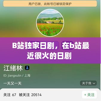 B站独家日剧，在b站最近很火的日剧 