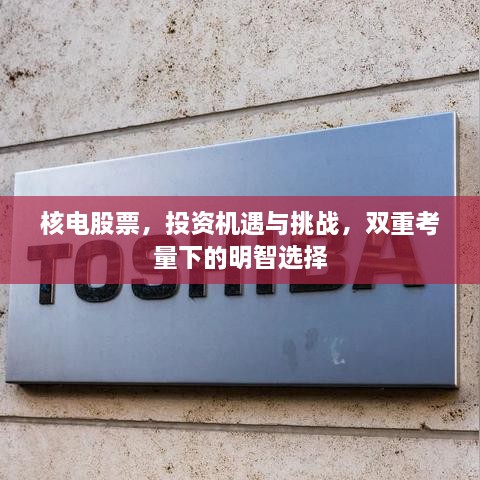 核电股票，投资机遇与挑战，双重考量下的明智选择