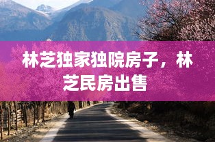 林芝独家独院房子，林芝民房出售 