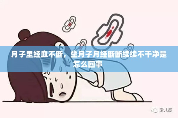 威风凛凛 第2页
