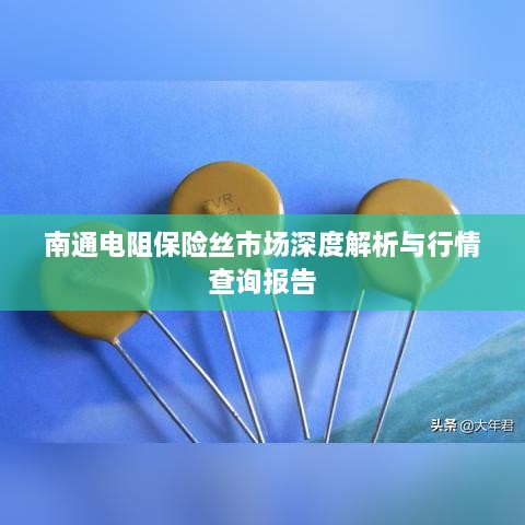 南通电阻保险丝市场深度解析与行情查询报告