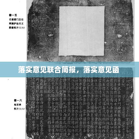 落实意见联合简报，落实意见函 