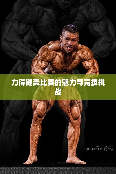 力得健美比赛的魅力与竞技挑战