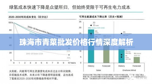珠海市青菜批发价格行情深度解析