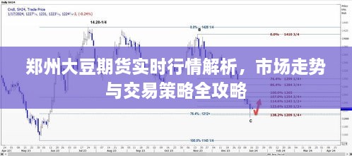 郑州大豆期货实时行情解析，市场走势与交易策略全攻略