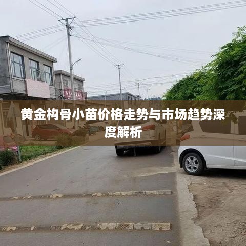 黄金构骨小苗价格走势与市场趋势深度解析
