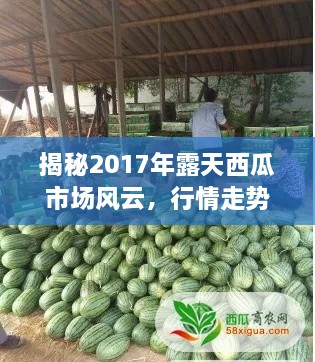 揭秘2017年露天西瓜市场风云，行情走势大解析