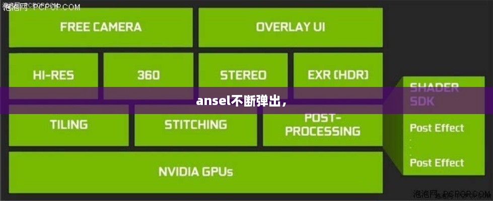 ansel不断弹出， 