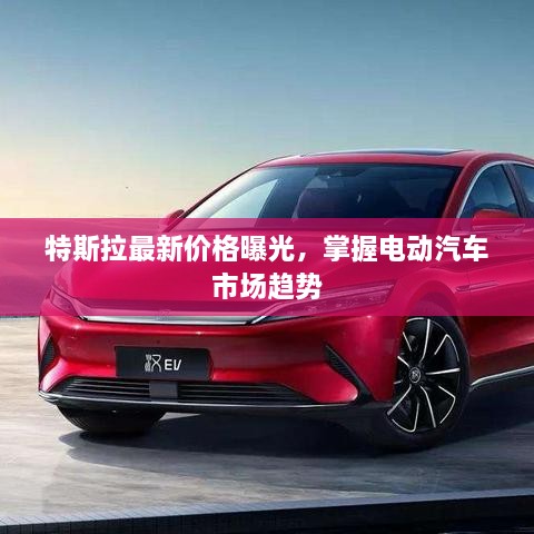 特斯拉最新价格曝光，掌握电动汽车市场趋势