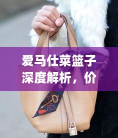 爱马仕菜篮子深度解析，价格走势与市场价格动态一网打尽！