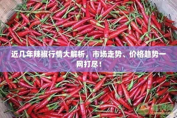 近几年辣椒行情大解析，市场走势、价格趋势一网打尽！