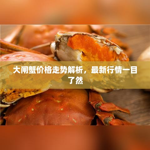 大闸蟹价格走势解析，最新行情一目了然