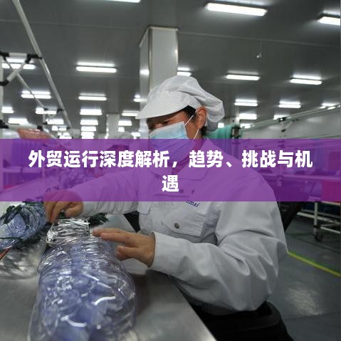 外贸运行深度解析，趋势、挑战与机遇