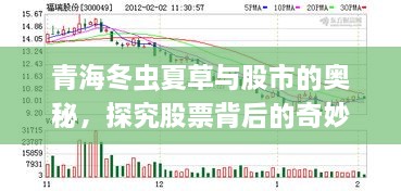 青海冬虫夏草与股市的奥秘，探究股票背后的奇妙缘分