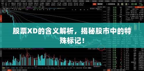 股票XD的含义解析，揭秘股市中的特殊标记！