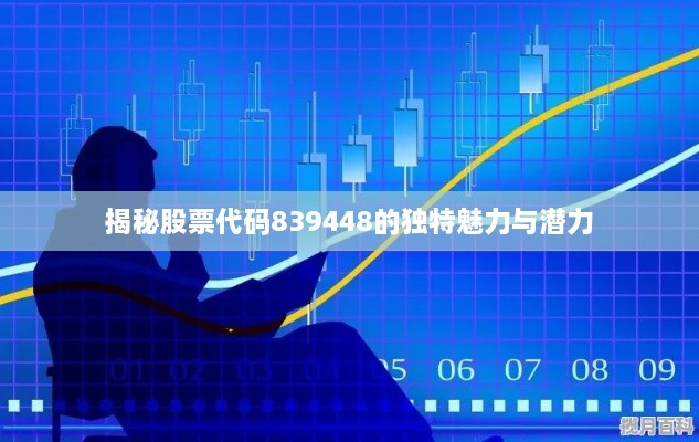 揭秘股票代码839448的独特魅力与潜力