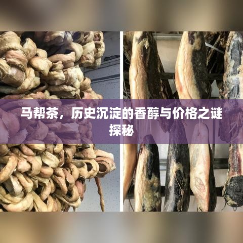 马帮茶，历史沉淀的香醇与价格之谜探秘
