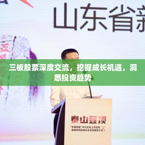 三板股票深度交流，挖掘成长机遇，洞悉投资趋势