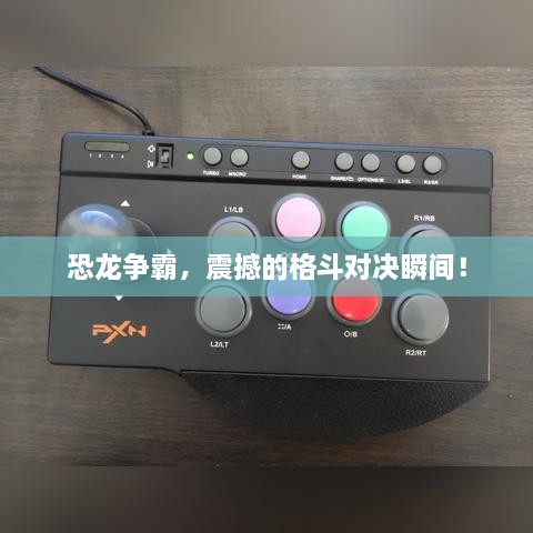 恐龙争霸，震撼的格斗对决瞬间！