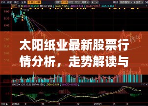 太阳纸业最新股票行情分析，走势解读与投资建议