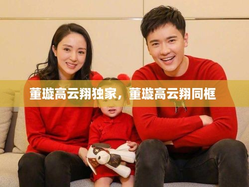 董璇高云翔独家，董璇高云翔同框 