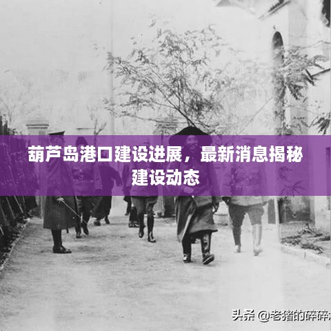 葫芦岛港口建设进展，最新消息揭秘建设动态