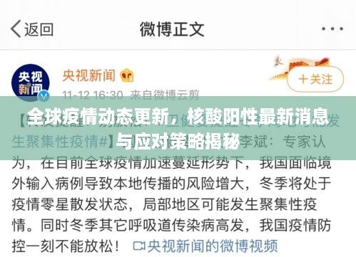 全球疫情动态更新，核酸阳性最新消息与应对策略揭秘