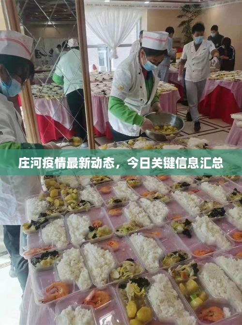 庄河疫情最新动态，今日关键信息汇总