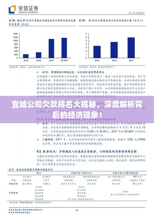 宜城公司欠款排名大揭秘，深度解析背后的经济现象！