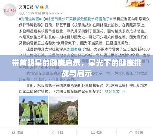 带菌明星的健康启示，星光下的健康挑战与启示